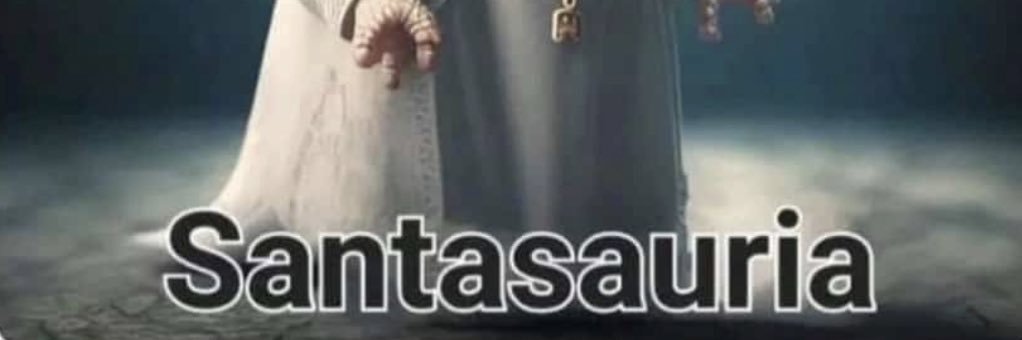 Santita 💎's banner
