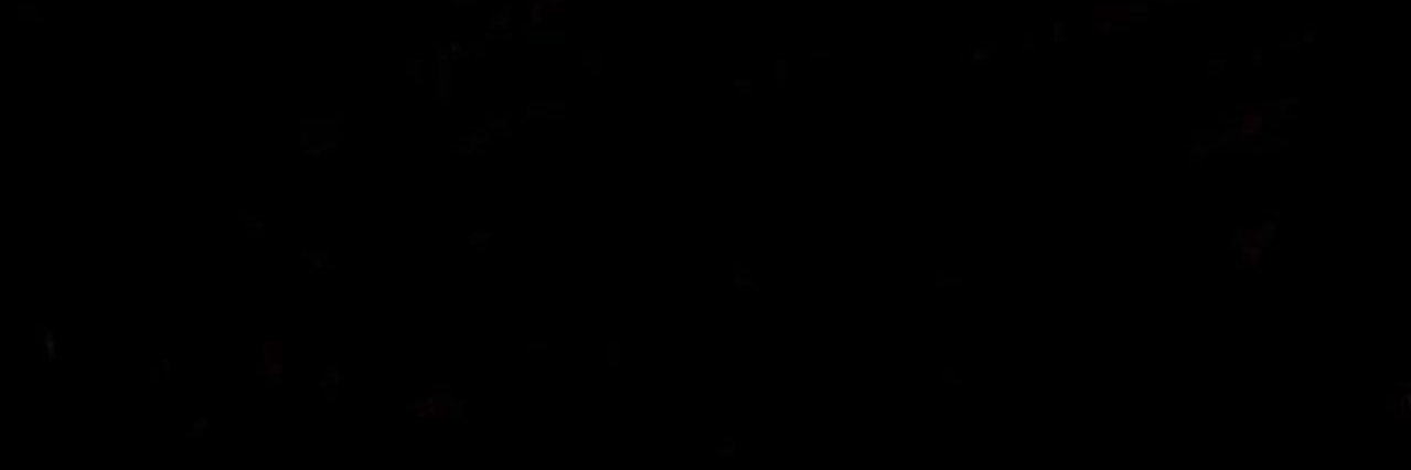 noe;'s banner