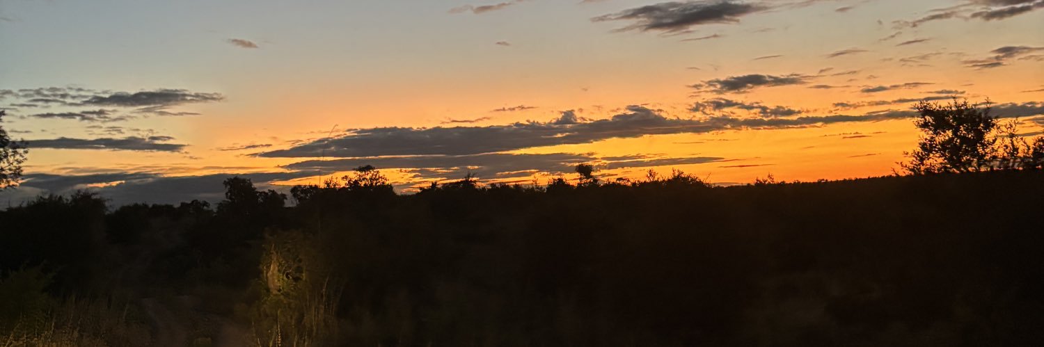 notty's banner