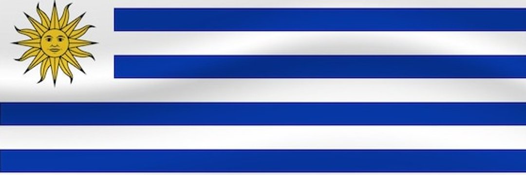 🇺🇾🇦🇷 Diego Ⓜ️oreira 🇺🇾's banner