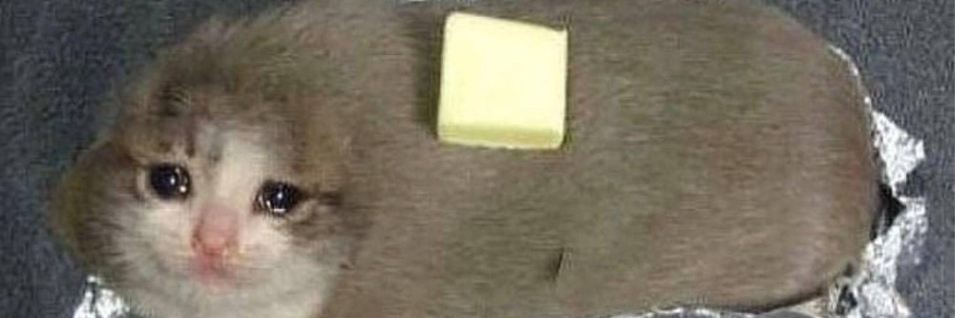 GATTO (R18)'s banner