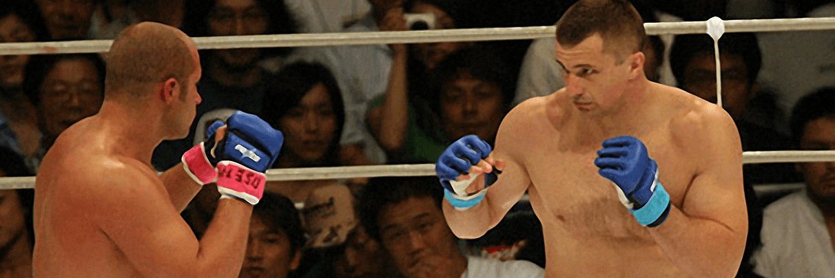 Ocelot MMA's banner
