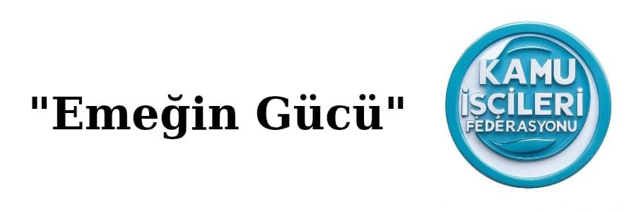 Türkiye Kamu İşçileri Federasyonu's banner