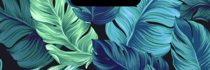 George's banner