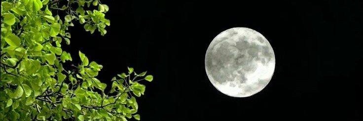 ᴸ𓂆ᴹ's banner
