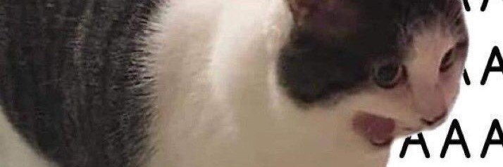 rosie 🛸๋ (sloww)'s banner
