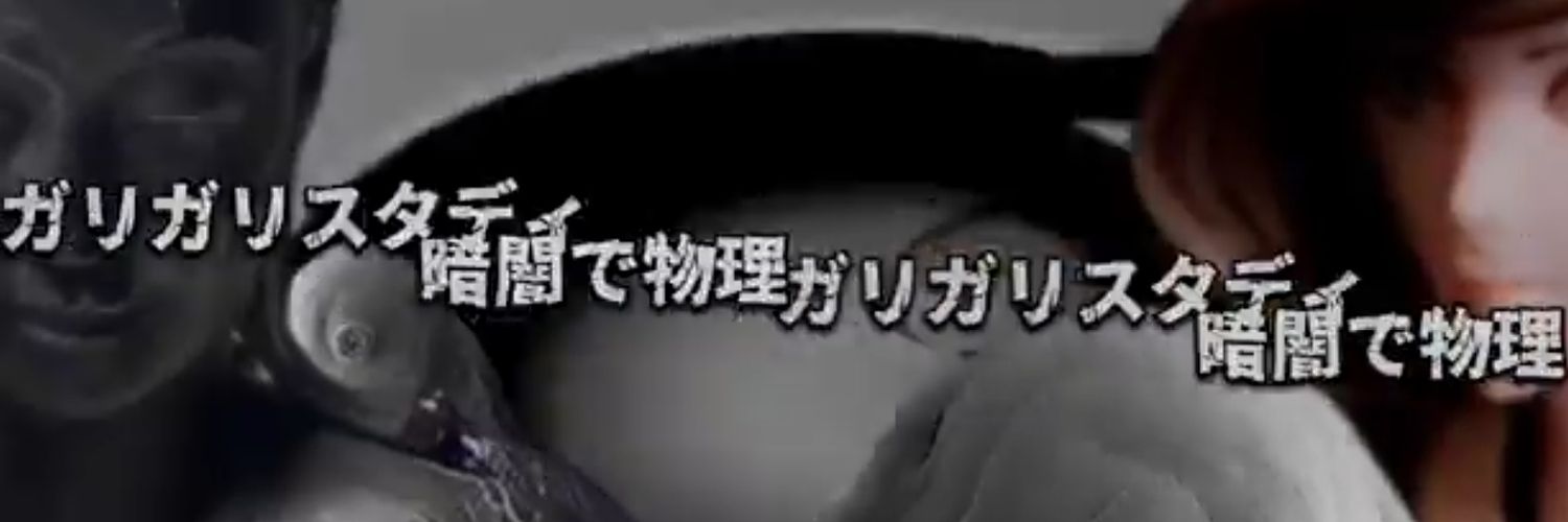 糞投げ素子 アナザー波理論提唱者(真正攻法研究所所長 3代目偶像）'s banner