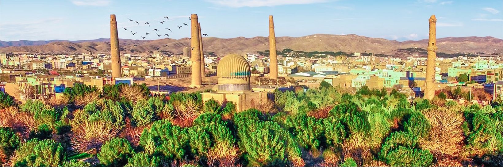 افغان اردو's banner