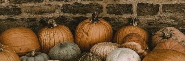 Lidia 🍂📜🕯️'s banner