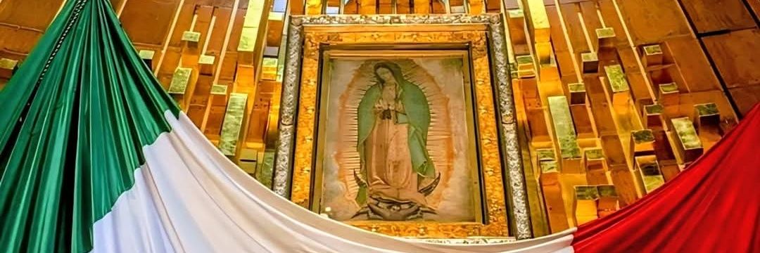 Consuelo Navarro 🇲🇽🇪🇸's banner
