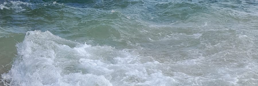 acii🦥's banner