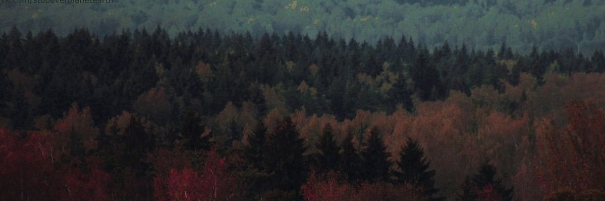 braingrub's banner