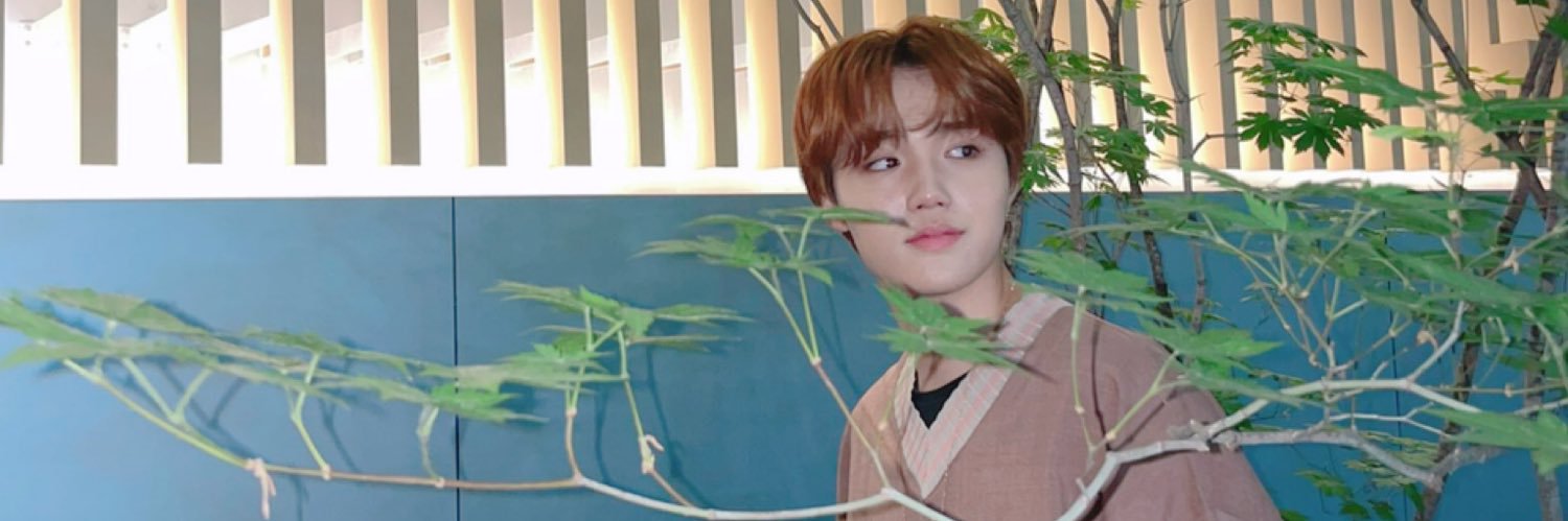 𝒅𝒐𝒅𝒐🍡's banner
