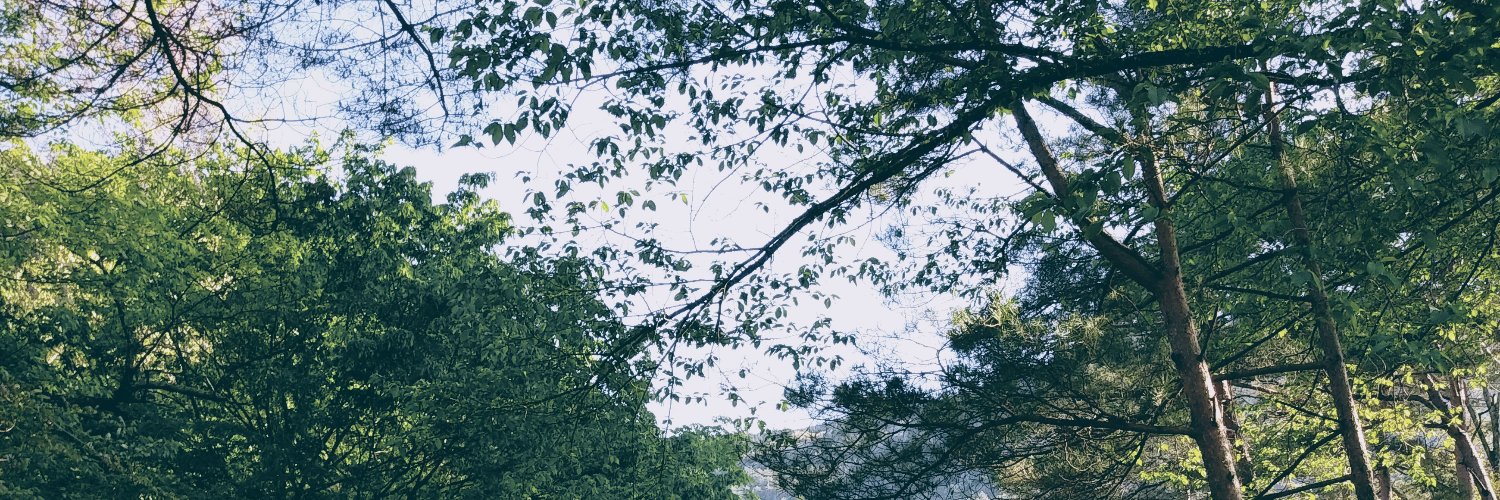 Yukino_'s banner
