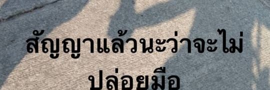 🇹🇭❤️ คู่รัก ความชอบ คบหา จริงใจ❤️🇹🇭's banner