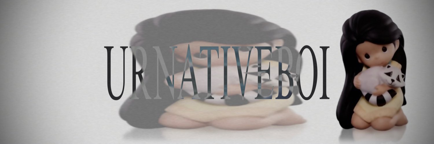 ˚ʚ nion ɞ˚'s banner