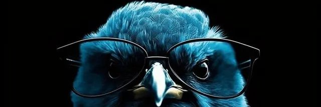 Zohan Ali's banner