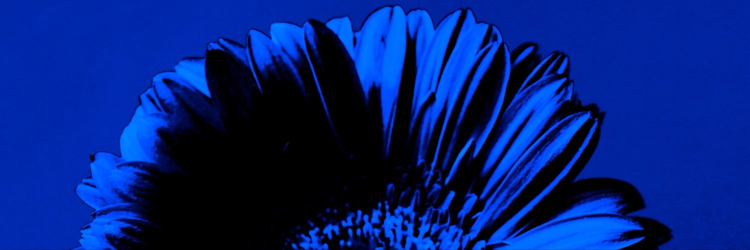 Alberto Tomaz's banner