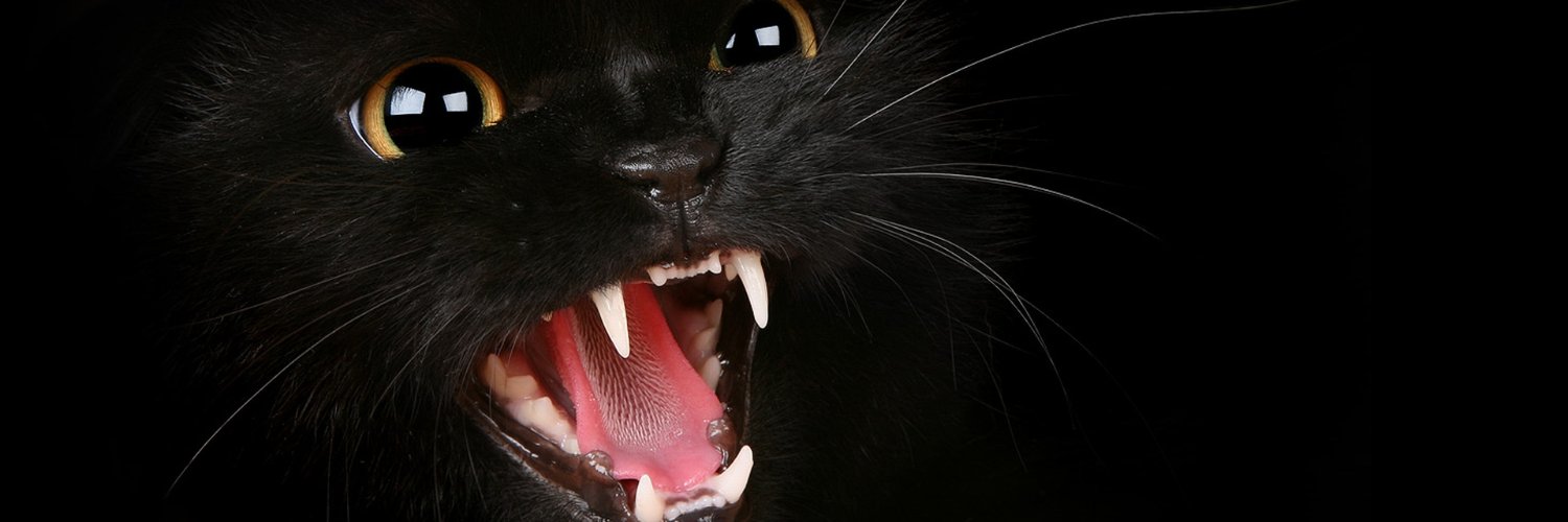 Wolfen ♏️🐺🐈's banner