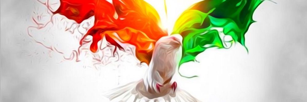 Never's banner