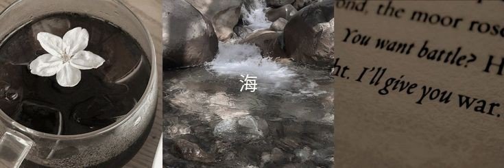 dany ★'s banner