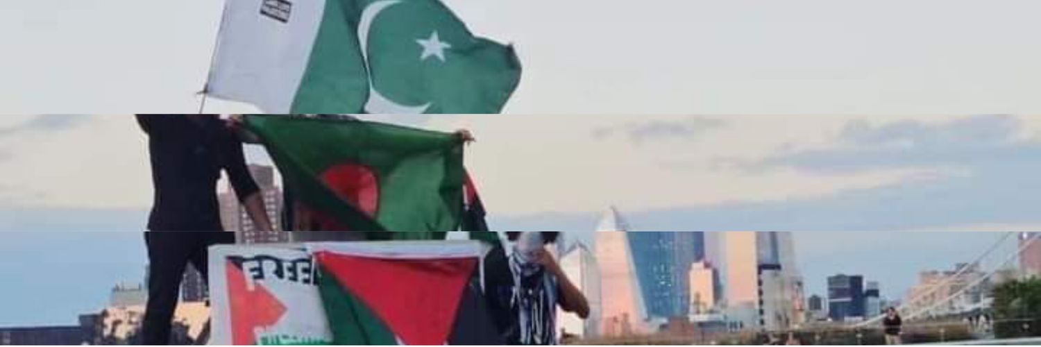 Afshan Tayyab's banner