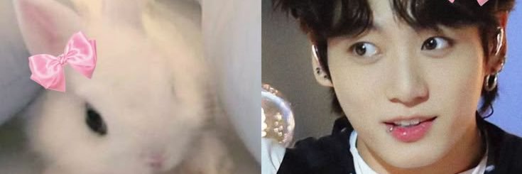 novia de aaron mercury's banner