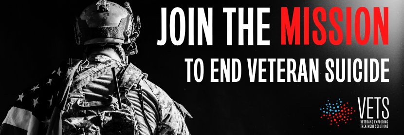 Veterans Exploring Treatment Solutions (VETS)'s banner