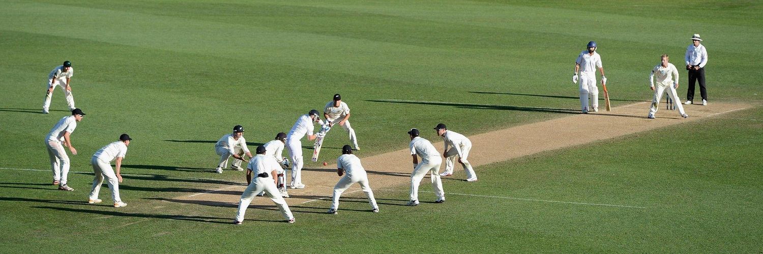 Satisfying Cricket Pictures's banner