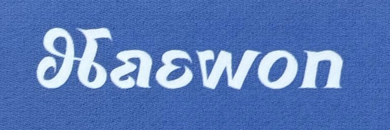 𝒔𝒔𝒂ᝰ's banner