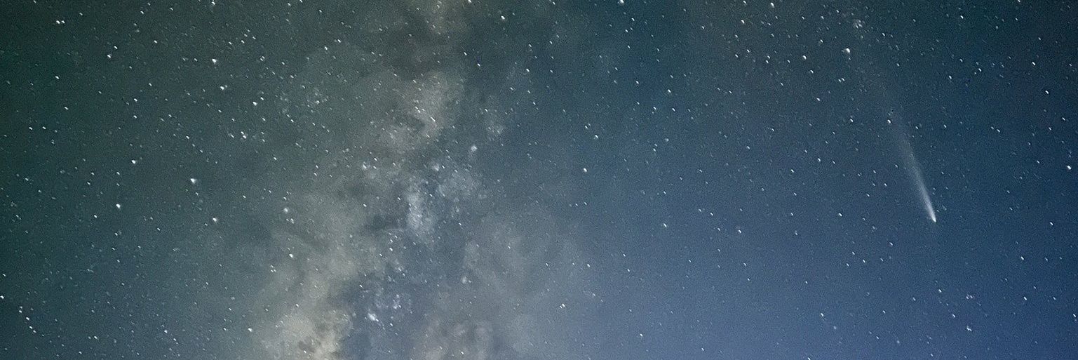 ≽^• ˕ • ^≼ (SLOW)'s banner