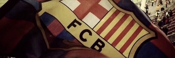 lita 🤠's banner