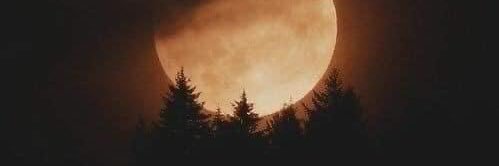 🌕leila's banner