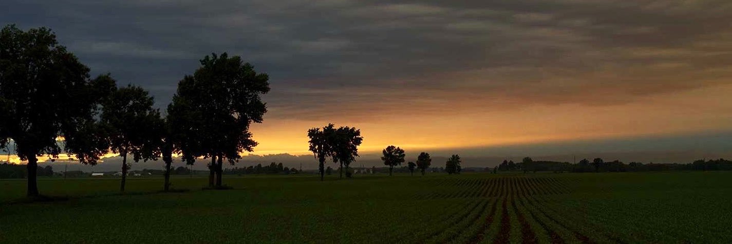 The sky’s the limit.'s banner