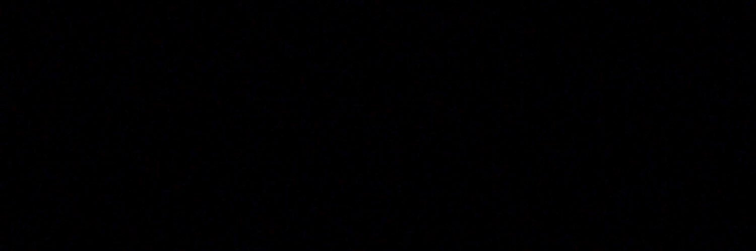 lize's banner