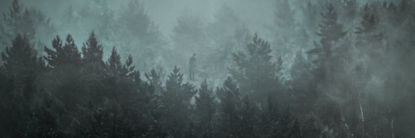 luiza's banner