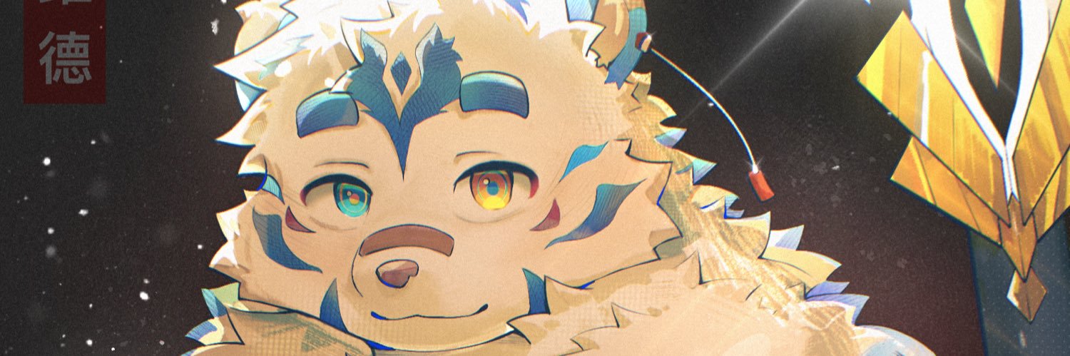 维德's banner