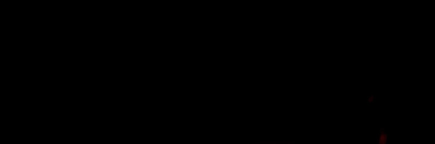 C A M I L O's banner