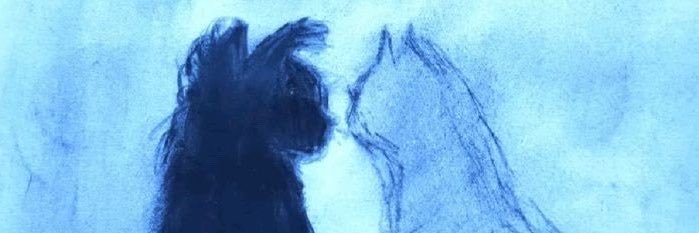 c's banner