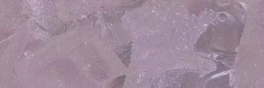 小可爱不会不可爱🍒's banner