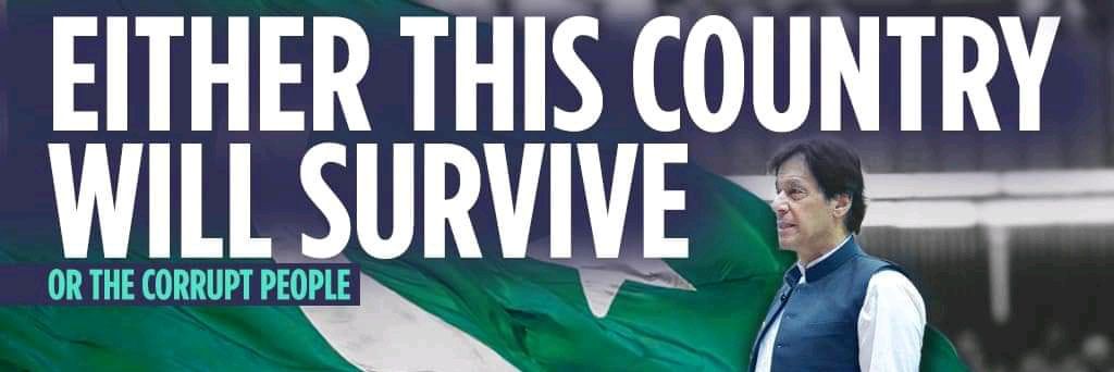 S's banner