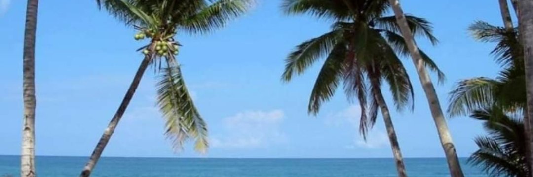 Florida Weather Center's banner