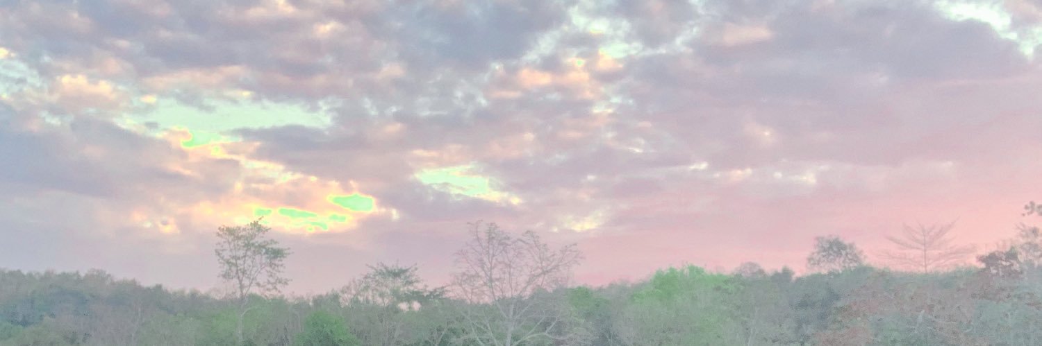 ‎𓊆 น้องกวางงงงง 𓊇's banner