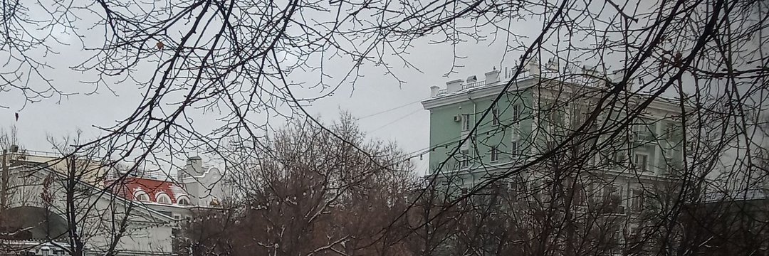 Liza's banner