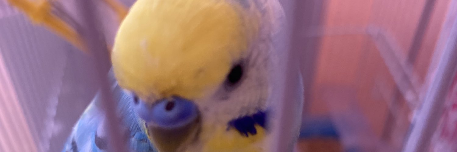 みお's banner