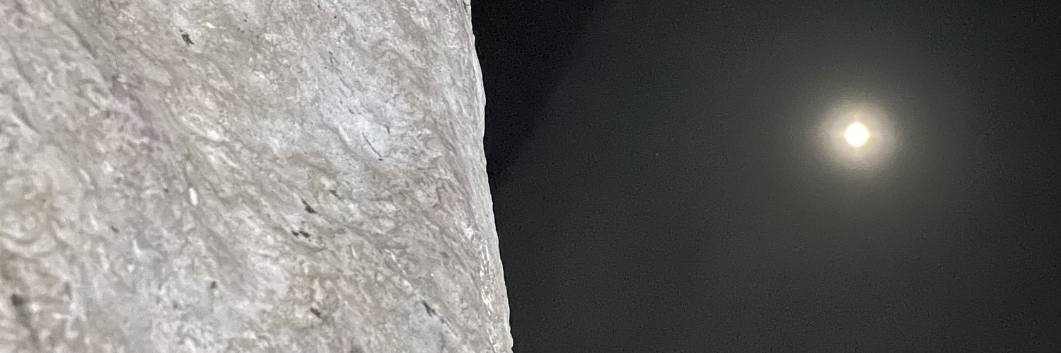 Lucia's banner