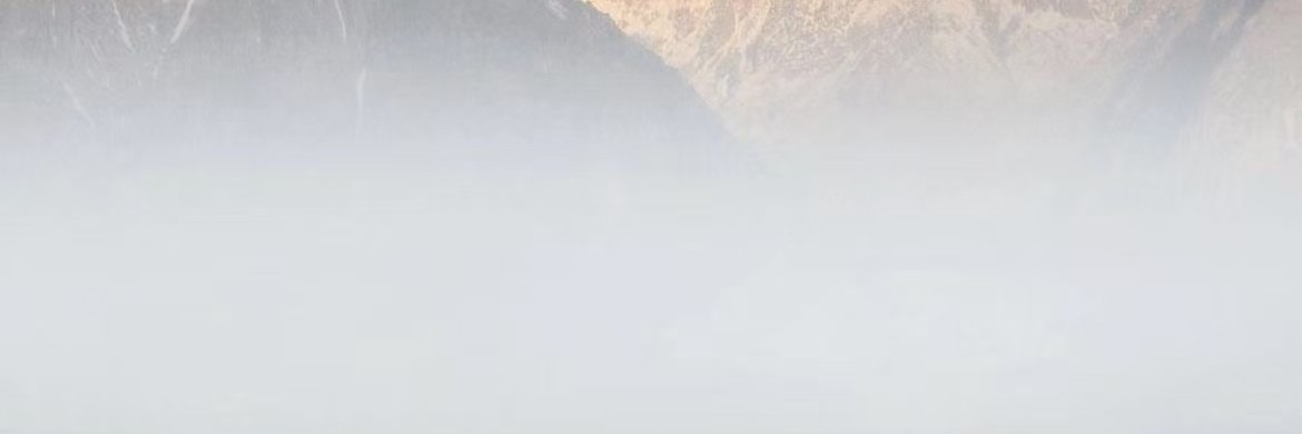 程Vixen's banner