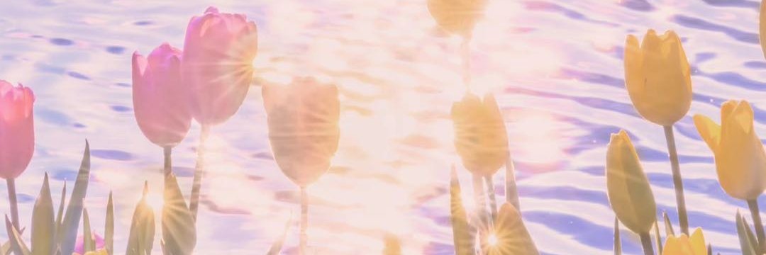 中华小当家就是我's banner