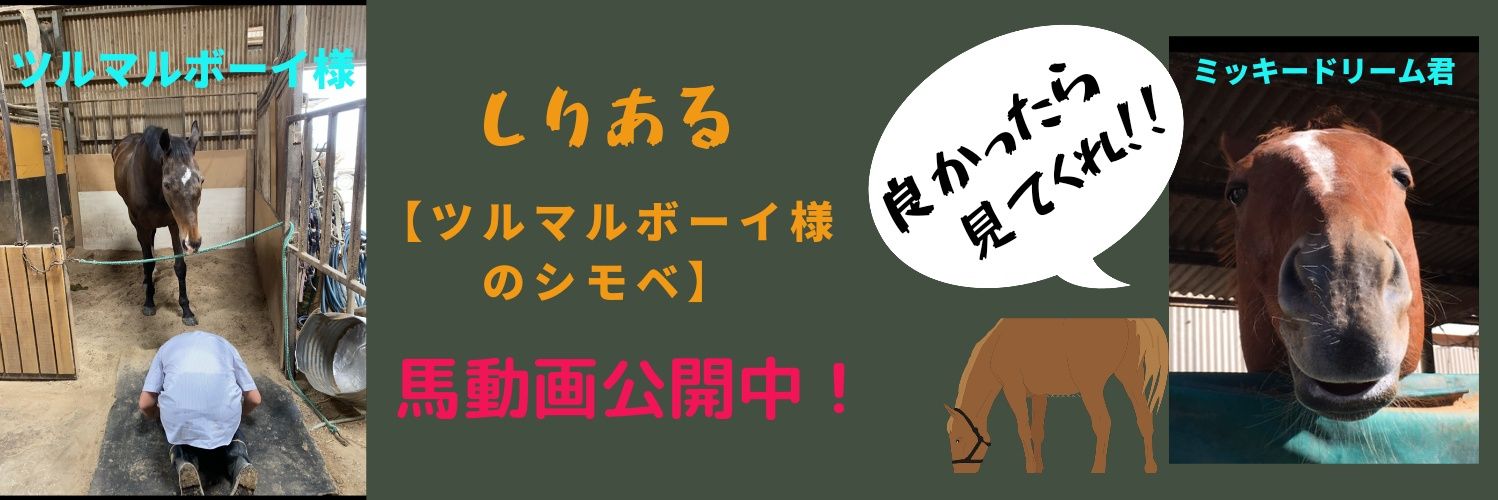 しりある【ツルマルボーイ様のシモベ】's banner
