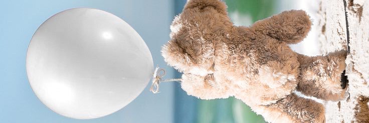 🦋مَلِك👩🏻‍🦱's banner